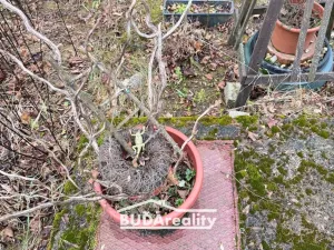 Prodej chaty, Zlín - Jaroslavice, 17 m2