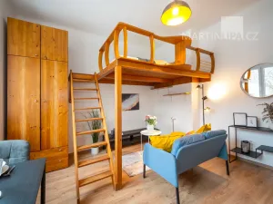 Prodej bytu 1+kk, Praha - Nusle, U družstva Ideál, 25 m2