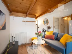 Prodej bytu 1+kk, Praha - Nusle, U družstva Ideál, 25 m2