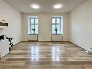 Pronájem bytu 1+kk, Brno, Lidická, 36 m2