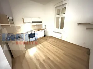 Pronájem bytu 1+1, Plzeň, Hřímalého, 36 m2