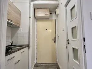 Pronájem bytu 1+kk, Ostrava - Hrabůvka, Krakovská, 21 m2