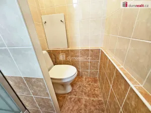 Pronájem bytu 1+1, Verneřice, Příbramská, 35 m2