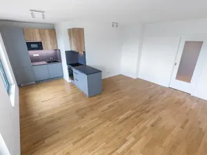 Prodej bytu 2+kk, Praha - Žižkov, U Viktorie, 63 m2