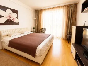 Prodej bytu 1+kk, Karlovy Vary, Jateční, 45 m2