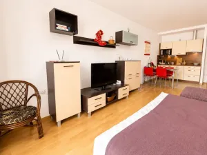 Prodej bytu 1+kk, Karlovy Vary, Jateční, 45 m2