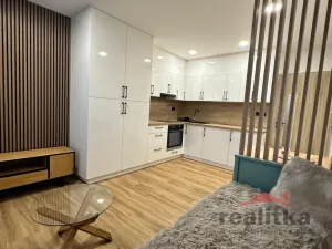 Pronájem bytu 1+kk, Opava - Kateřinky, Grudova, 21 m2