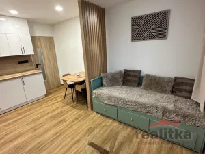 Pronájem bytu 1+kk, Opava - Kateřinky, Grudova, 21 m2