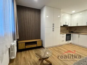 Pronájem bytu 1+kk, Opava - Kateřinky, Grudova, 21 m2