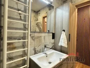 Pronájem bytu 1+kk, Opava - Kateřinky, Grudova, 21 m2