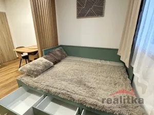 Pronájem bytu 1+kk, Opava - Kateřinky, Grudova, 21 m2