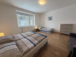 Prodej apartmánu, Staré Město - Stříbrnice, 56 m2