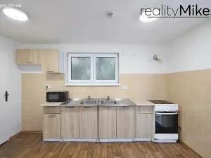 Pronájem ubytování, Dobrovice, 500 m2