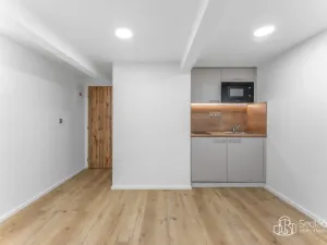 Prodej atypického bytu, Praha - Nusle, U Jezerky, 39 m2