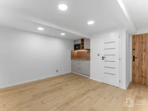 Prodej atypického bytu, Praha - Nusle, U Jezerky, 39 m2