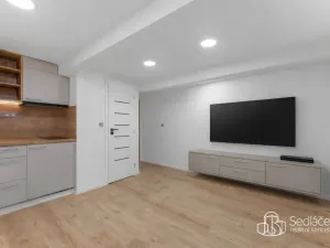 Prodej atypického bytu, Praha - Nusle, U Jezerky, 39 m2