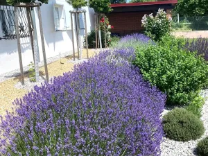 Prodej rodinného domu, Šťáhlavy, K Bažantnici, 160 m2