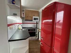 Pronájem bytu 1+kk, Hradec Králové, Jungmannova, 30 m2