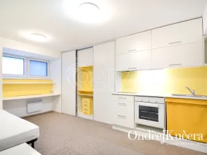 Pronájem bytu 1+kk, Praha - Nusle, K podjezdu, 29 m2