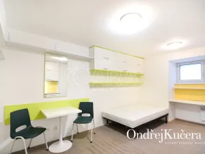 Pronájem bytu 1+kk, Praha - Nusle, K podjezdu, 29 m2