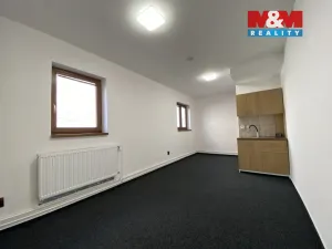 Pronájem obchodního prostoru, Český Těšín, Studentská, 40 m2