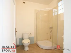 Prodej rodinného domu, Týniště nad Orlicí - Petrovičky, 115 m2