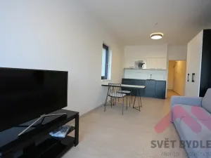 Pronájem bytu 1+kk, Praha - Karlín, U Mlýnského kanálu, 41 m2