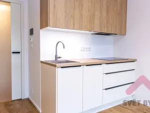 Pronájem bytu 1+kk, Praha - Žižkov, Šrámkové, 34 m2