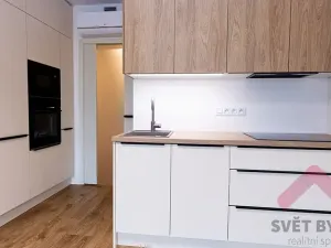 Pronájem bytu 1+kk, Praha - Žižkov, Šrámkové, 34 m2