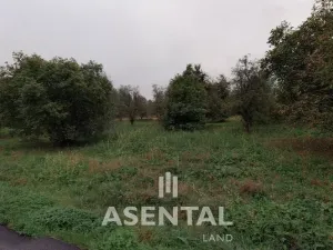 Prodej komerčního pozemku, Rychvald, Myslivecká, 13693 m2