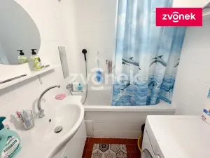 Pronájem bytu 1+kk, Zlín, Budovatelská, 12 m2