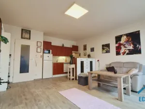 Prodej bytu 1+kk, Praha - Stodůlky, Sluneční náměstí, 30 m2