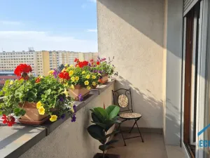 Prodej bytu 1+kk, Praha - Stodůlky, Sluneční náměstí, 30 m2