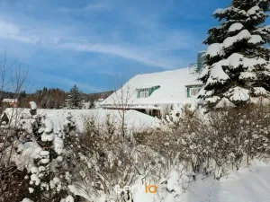 Prodej ubytování, Říčky v Orlických horách, 500 m2