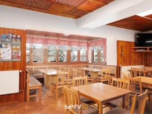 Prodej ubytování, Říčky v Orlických horách, 500 m2