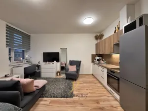 Pronájem bytu 1+kk, Olomouc, Lipenská, 32 m2