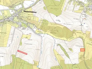 Prodej louky, Nedachlebice, 16411 m2