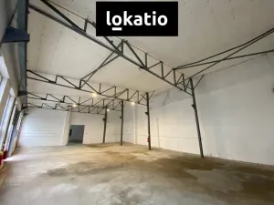 Pronájem skladu, Olomouc, 250 m2