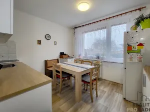 Prodej bytu 3+1, Znojmo, Mičurinova, 70 m2