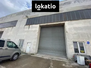 Pronájem skladu, Olomouc, Železniční, 1272 m2