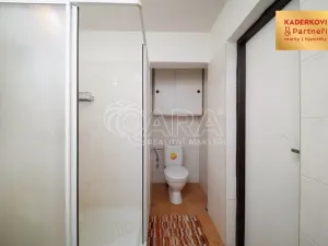 Prodej chalupy, Předín, 126 m2