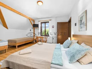 Prodej ubytování, Větřní, 250 m2