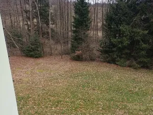 Prodej rodinného domu, Vyklantice, 660 m2