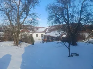 Prodej rodinného domu, Horní Radslavice, 752 m2