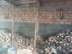 Prodej rodinného domu, Horní Radslavice, 752 m2