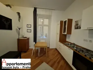 Prodej apartmánu, Praha - Staré Město, Masná, 170 m2