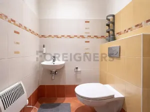 Pronájem bytu 2+1, Brno, Masná, 88 m2