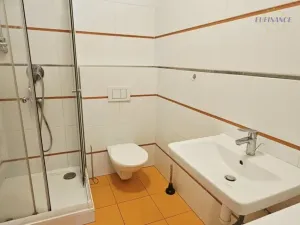Pronájem bytu 2+kk, Kralupy nad Vltavou, Gen. Klapálka, 30 m2