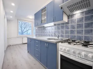 Pronájem bytu 1+1, Ústí nad Labem, Tolstého, 44 m2