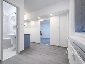 Pronájem bytu 1+1, Ústí nad Labem, Tolstého, 44 m2